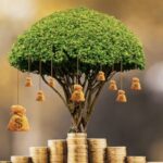 Ways to keep your insurance costs down